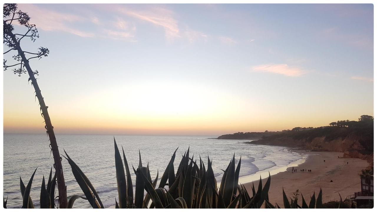 Sunset Villa By Laranjal Rentals Olhos de Αgua Εξωτερικό φωτογραφία